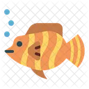 Butterflyfish  Icon
