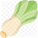 Butterhead Lettuce Salad Icon