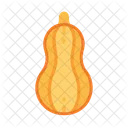 Butternut Squash Fresh Healthy Icon