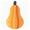 Butternut Pumpkin  Icon