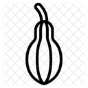 Bottle Gourd Icon