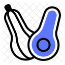 Butternut Squash Butternut Fruit Icon