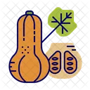 Butternut Squash Icon