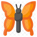 Butterfly Insect Bug Icon