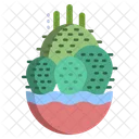 Button Cactus Cactus Pot Cactus Plant Icon