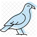 Buzzard Bird Predator Icon
