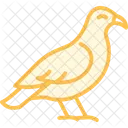 Buzzard Bird Predator Icon