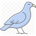 Buzzard Bird Predator Icon