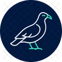 Buzzard Bird Predator Icon