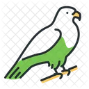 Buzzard  Icon