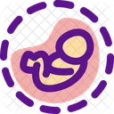 C Section  Icon