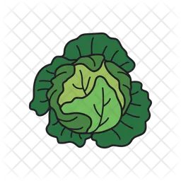 Cabbage  Icon