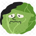 Cabbage Veggies Vegetarian Icon