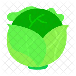 Cabbage  Icon