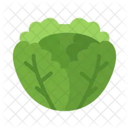 Cabbage  Icon