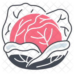 Cabbage  Icon