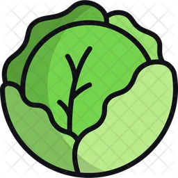 Cabbage  Icon