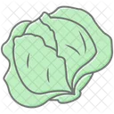 Cabbage Vegetable Green Icon