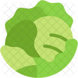 Cabbage  Icon