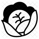 Cabbage  Icon