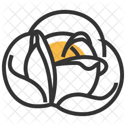Cabbage Icon