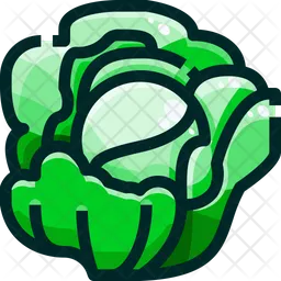 Cabbage  Icon