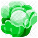 Cabbage Vegetable Organic Icon