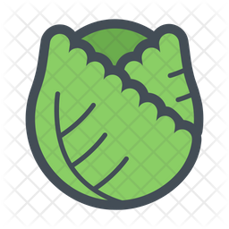 Cabbage Icon Of Colored Outline Style Available In Svg Png Eps Ai Icon Fonts