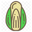 Cabbage Vegetable Food Icon