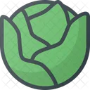 Cabbage Vegetable Health Icon