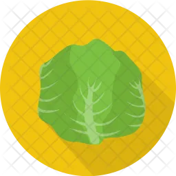 Cabbage  Icon