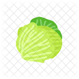 Cabbage  Icon