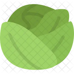 Cabbage  Icon