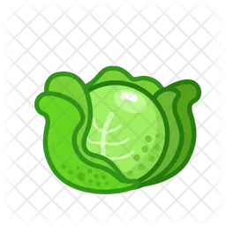 Cabbage  Icon