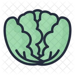 Cabbage  Icon