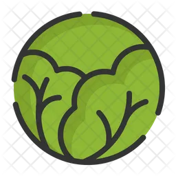 Cabbage  Icon