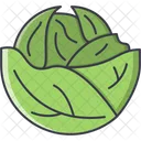 Cabbage Vegetable Cooking Icon