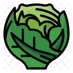 Cabbage  Icon