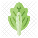 Cabbage Health Vegetarian Icon