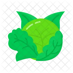 Cabbage  Icon