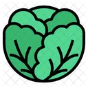 Cabbage Fruit Vegetables Icon