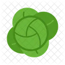 Cabbage Leafy Green Icon