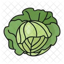 Cabbage Salad Meal Icon