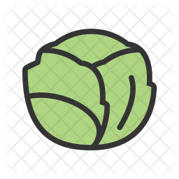 Cabbage Icon Of Colored Outline Style Available In Svg Png Eps Ai Icon Fonts