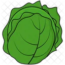 Green Cabbage Vegetable Icon