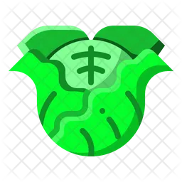 Cabbage  Icon