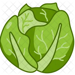 Cabbage  Icon