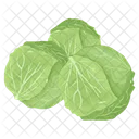 Cabbage  Icône