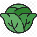 Cabbage Vegetable Head Icon