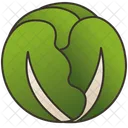 Cabbage Green Nutrient Icon